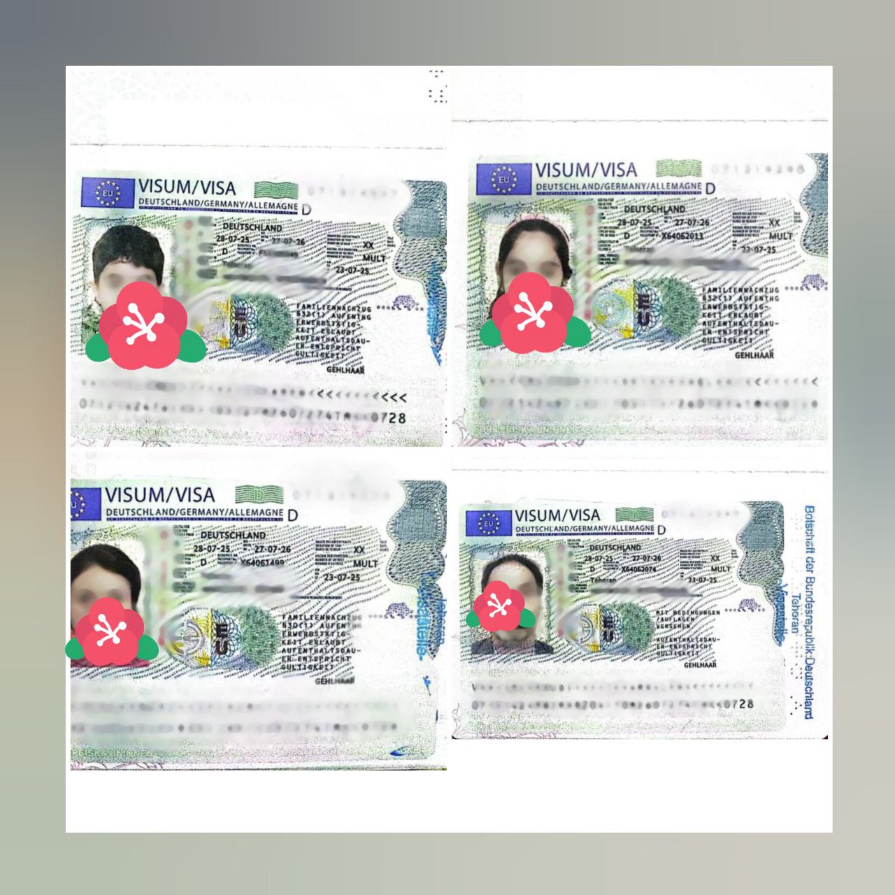 photo_2025-11-01_17-16-51