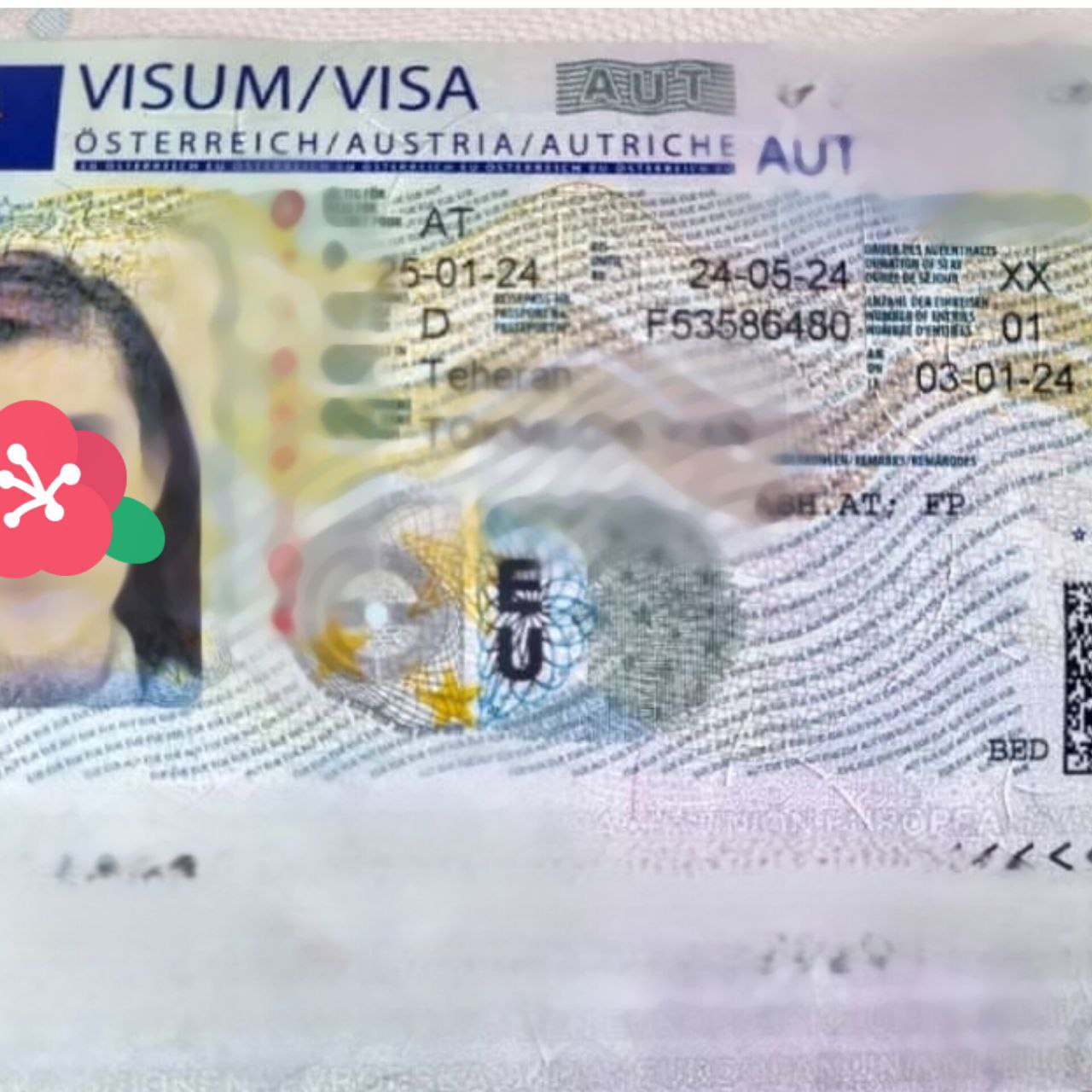 photo_2025-11-01_17-33-03